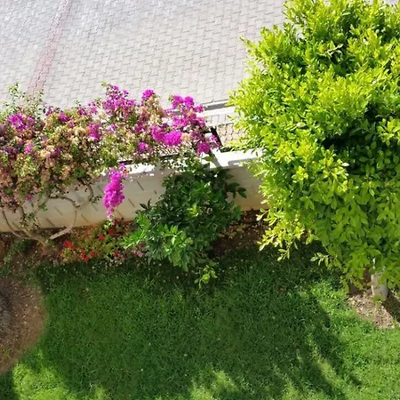 In Begonvil Sitesi Apartment Alanya